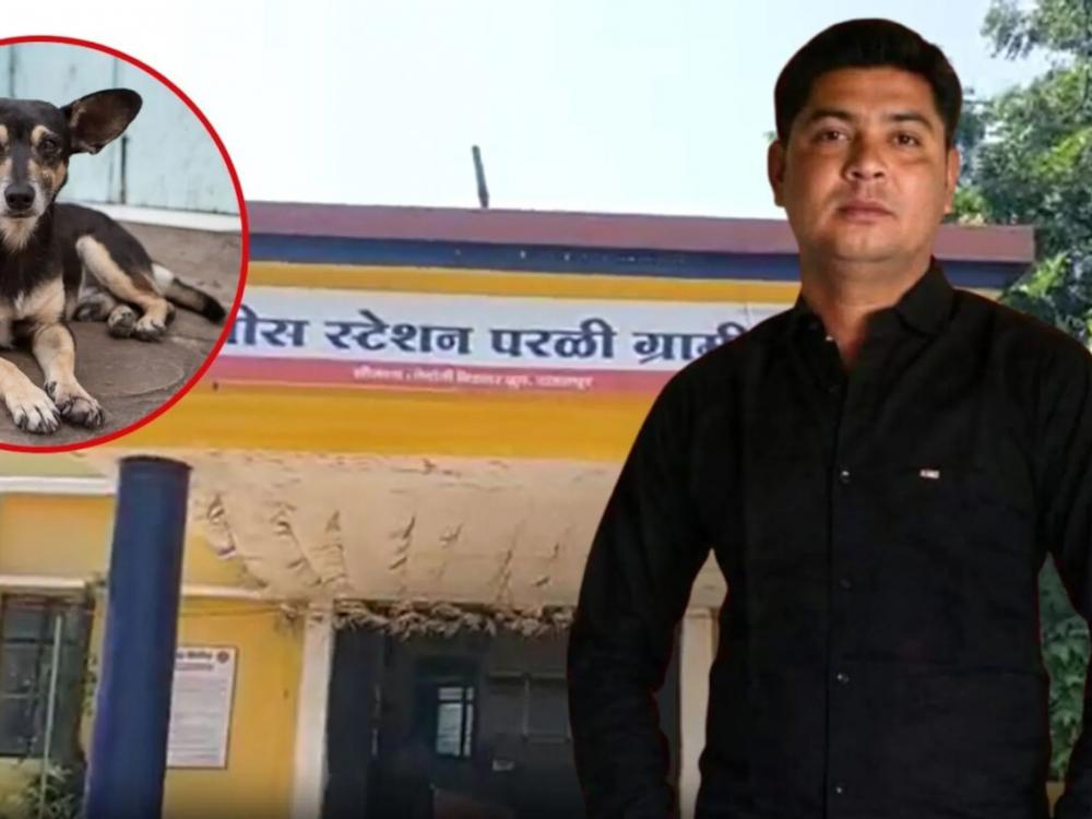पैशाच्या वादातून मित्राचा दगडाने ठेचून खून