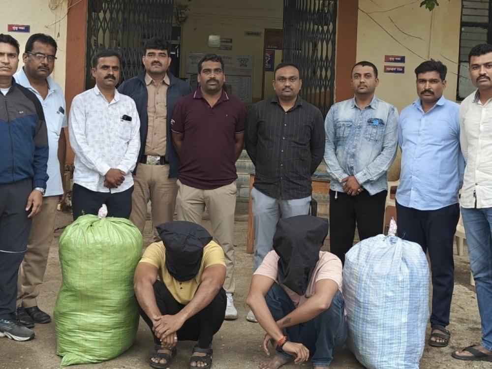 धर्मापुरीत स्थानिक गुन्हे शाखेची मोठी कारवाई; ४९ किलो गांजासह २९.५४ लाखांचा मुद्देमाल जप्त