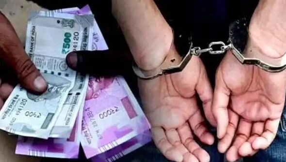 riswat (1)
